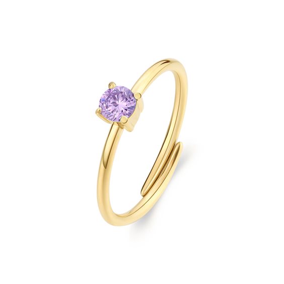 Anello Sagapo Donna in Acciaio SDZ40 - SDZ40
